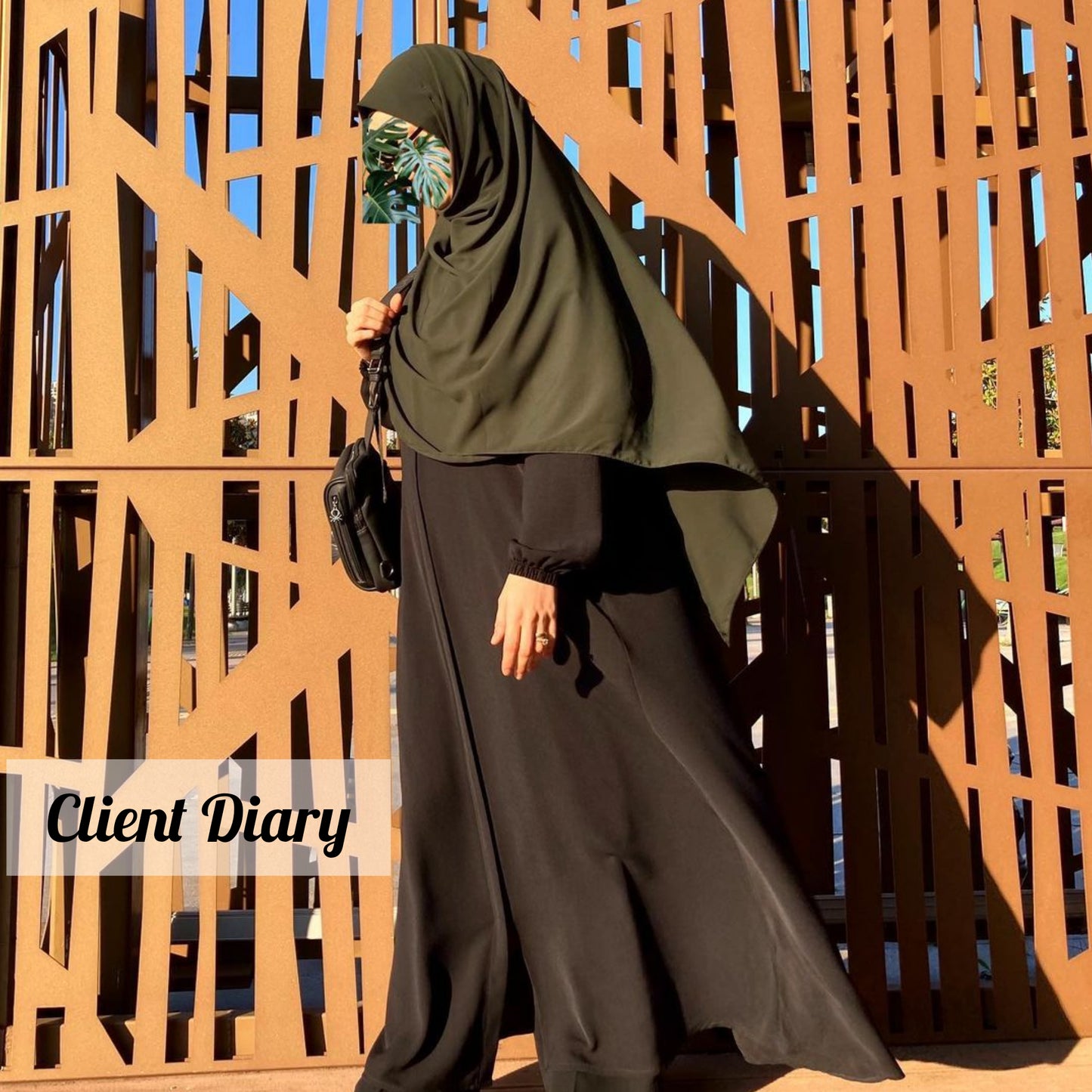 D.NO 2132 (imported) - Designer Burqa Store